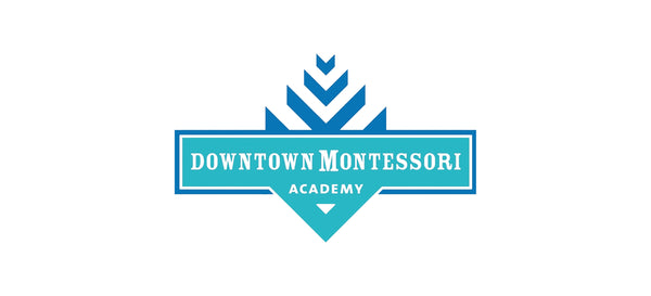 DOWNTOWN MONTESSORI ACADEMY